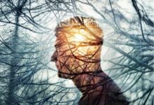 Einstein Realiza 2 Simpsio De Psiquiatria Em Parceria Com O Kings College Of London