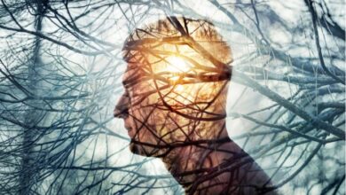 Einstein Realiza 2 Simpsio De Psiquiatria Em Parceria Com O Kings College Of London