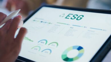 Pós Graduação Do Einstein Aborda Esg Na Gestão Das Organizações