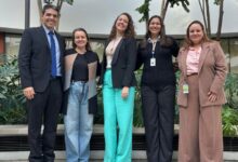 Preservação Da Fertilidade Em Pacientes Oncológicos é Tema De Mestrado Em Enfermagem Do Einstein
