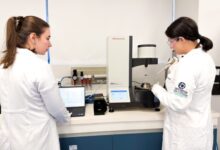 Iniciação Científica O Caminho Que Desenvolve Pensamento Crítico E Prepara Para A Carreira