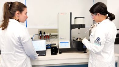 Iniciação Científica O Caminho Que Desenvolve Pensamento Crítico E Prepara Para A Carreira